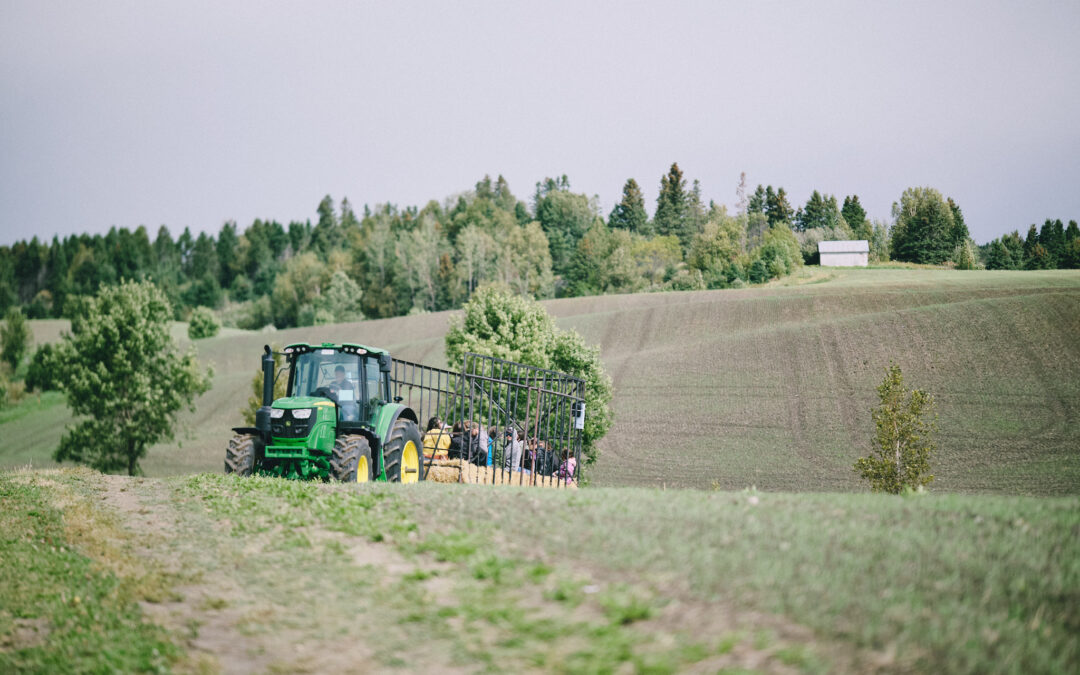 Vue aérienne de la Ferme Villoise, symbole d'agriculture durbale