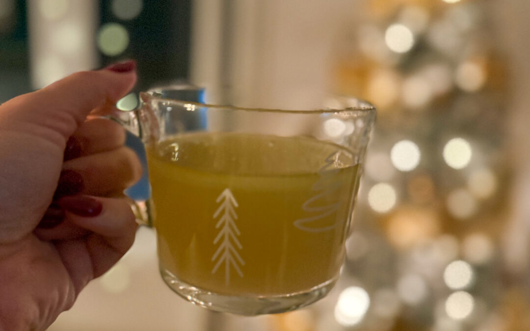 bouillon d'os de porc biologique