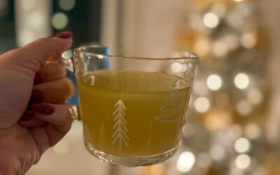 Bouillon d’os réconfortant