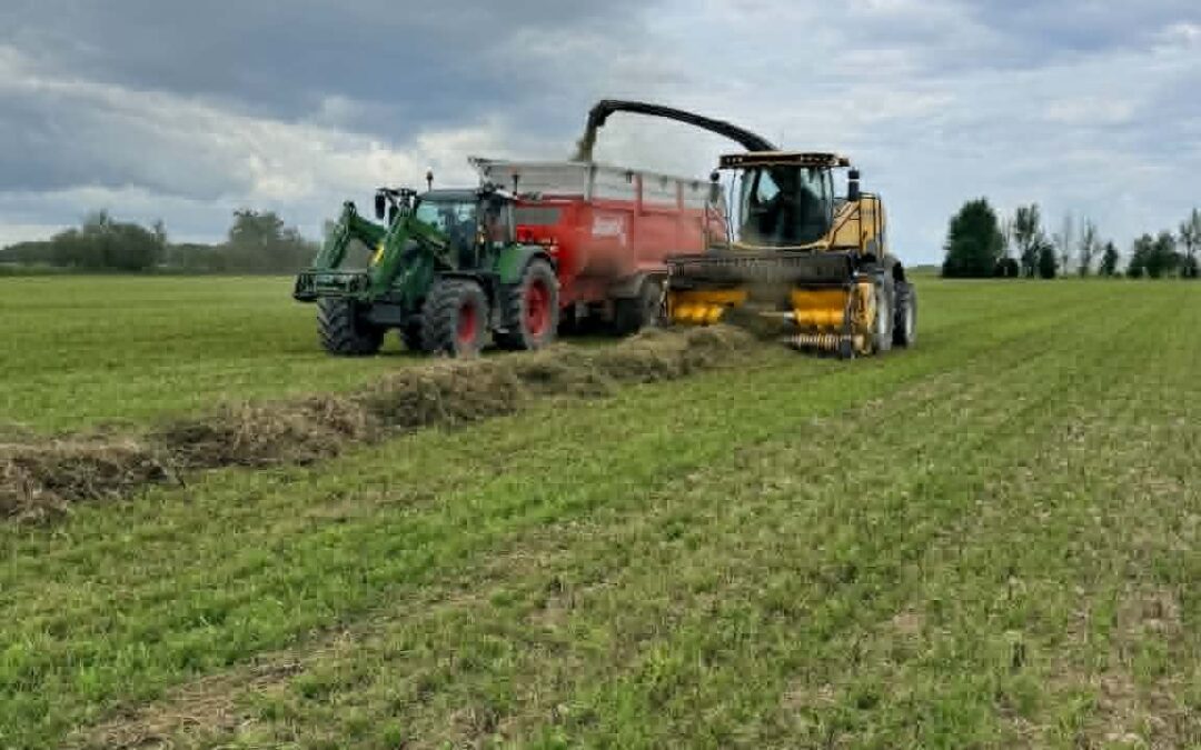Ensilage de foin porc de villoise par eco-luzerne