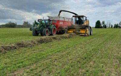 La récolte à la Ferme Villoise : quand tout dépend de la météo