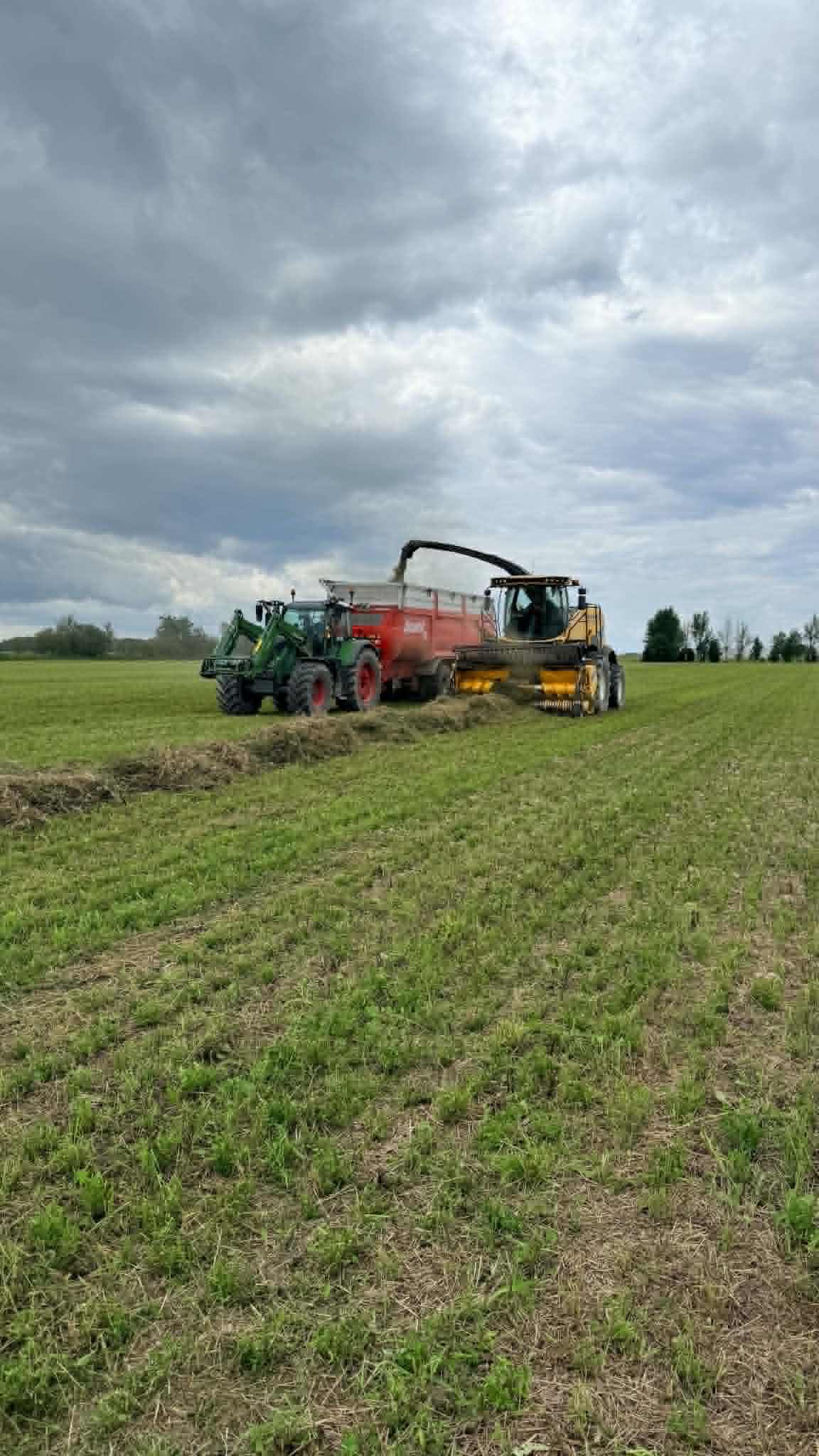 Ensilage de foin porc de villoise par eco-luzerne